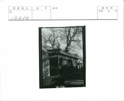 冬日建筑与树木街景.jpg