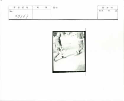 冬日提桶携鸟人同行.jpg