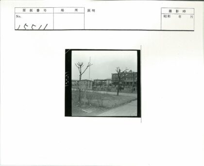 冬日林荫道与古典建筑景观.jpg
