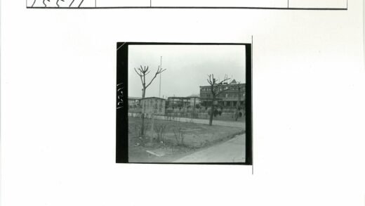 冬日林荫道与古典建筑景观.jpg