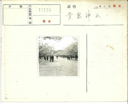 冬日林荫道散步.jpg