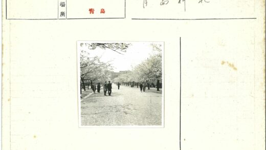 冬日林荫道散步.jpg