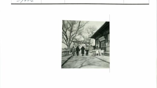 冬日林荫道旁的传统建筑.jpg