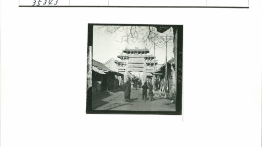 冬日林荫道通往华丽大门.jpg