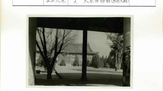冬日枯枝与传统瓦顶庭院.jpg