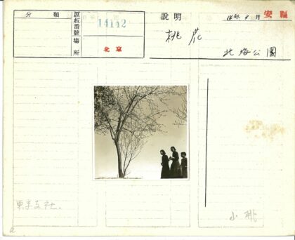 冬日枯树三人行.jpg