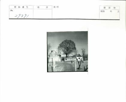 冬日枯树与斜顶建筑街景.jpg