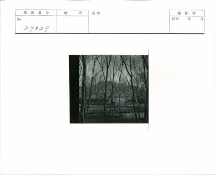 冬日枯树远山宝塔倒影.jpg