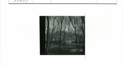 冬日枯树远山宝塔倒影.jpg
