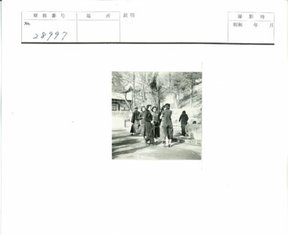 冬日树下小路人群与古建.jpg
