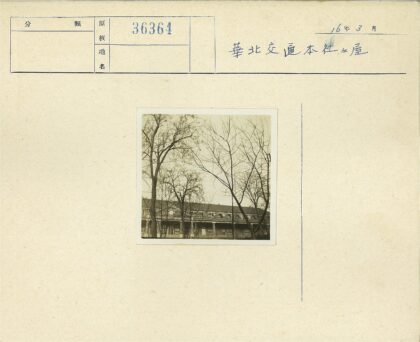 冬日树影中的钟楼建筑.jpg