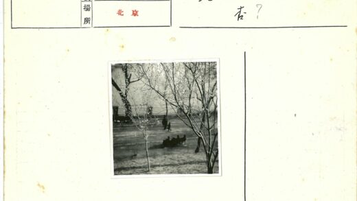 冬日树林漫步与公园长椅人群.jpg