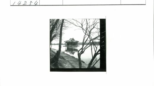 冬日池塘亭景小路.jpg