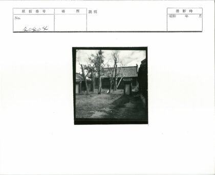 冬日瓦屋枯树草地小径.jpg