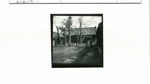 冬日瓦屋枯树草地小径.jpg