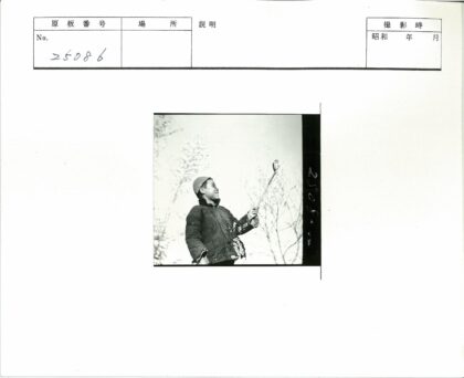 冬日男孩与枝头鸟.jpg