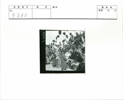冬日羽毛植物市场合影.jpg