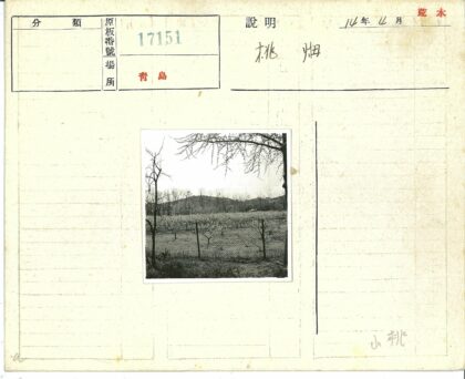 冬日荒原与山丘景色.jpg