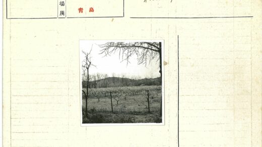 冬日荒原与山丘景色.jpg