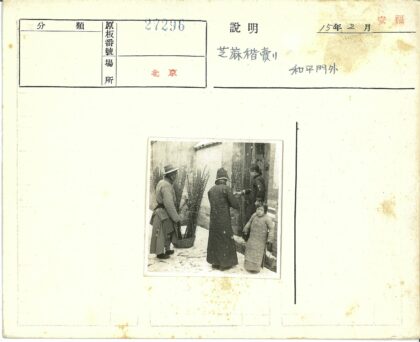 冬日雪中送枝迎新年.jpg