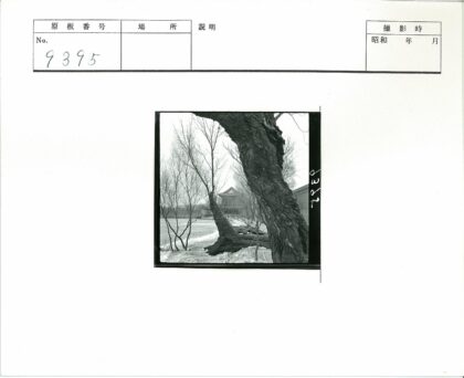 冬日雪径旁的传统建筑与枯树.jpg