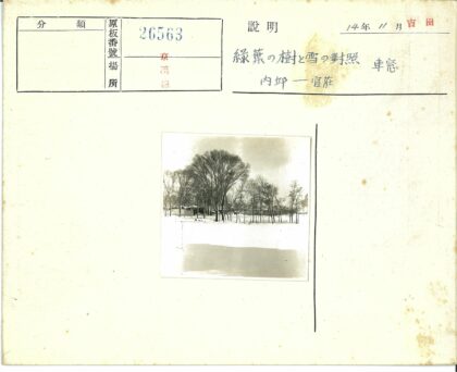 冬日雪景与远村树木.jpg