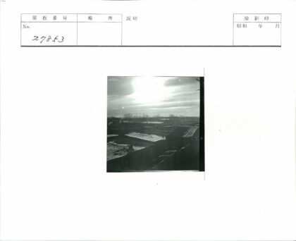 冬日雪景平顶建筑与枯树.jpg