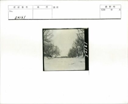 冬日雪景林间桥.jpg