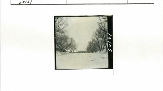 冬日雪景林间桥.jpg