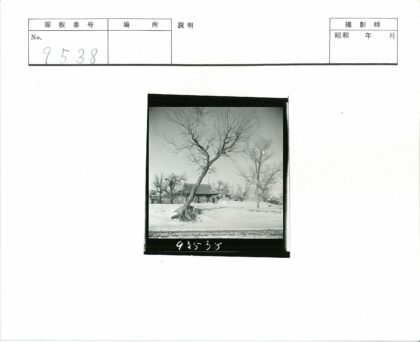 冬日雪景枯树与瓦顶建筑.jpg