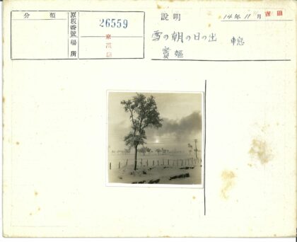 冬日雪景树影与雾中电线.jpg