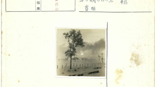 冬日雪景树影与雾中电线.jpg