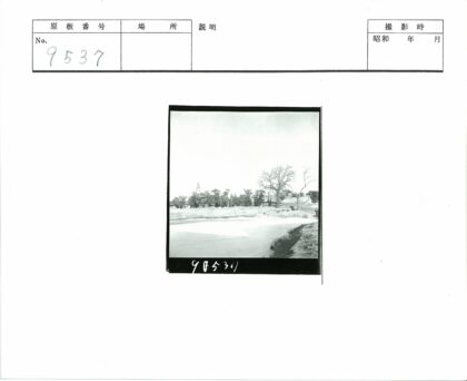 冬日雪景池塘与林间小路.jpg