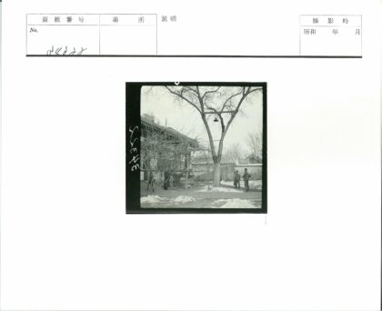 冬日雪景瓦房铃铛树.jpg
