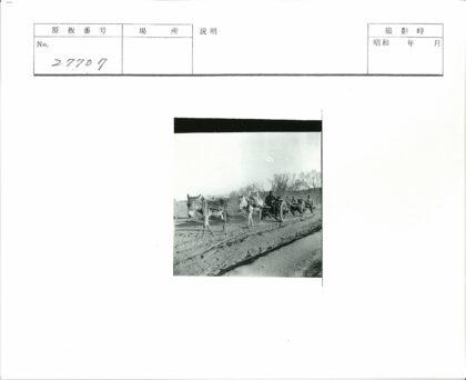 冬日马车土路行.jpg