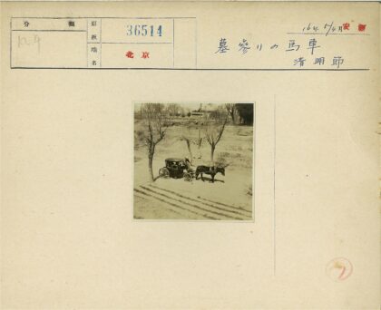 冬日马车行驶土路景观.jpg