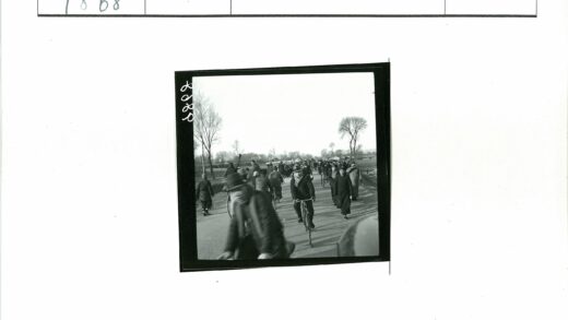 冬日骑行田野风光.jpg