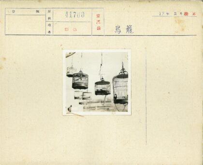 冬日鸟笼树影.jpg