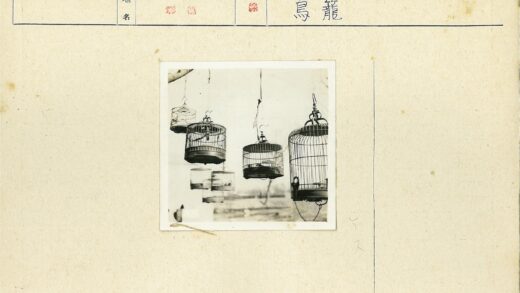 冬日鸟笼树影.jpg