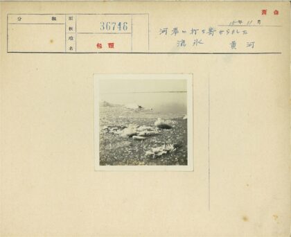 冰浮地平线.jpg