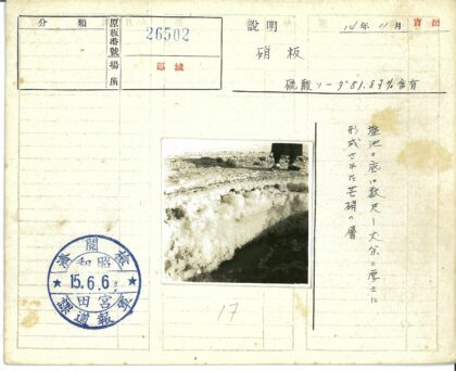 冰雪边缘的孤独行者.jpg