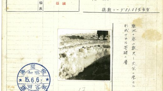冰雪边缘的孤独行者.jpg