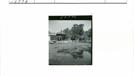 凉亭俯瞰落叶池塘与树影建筑.jpg