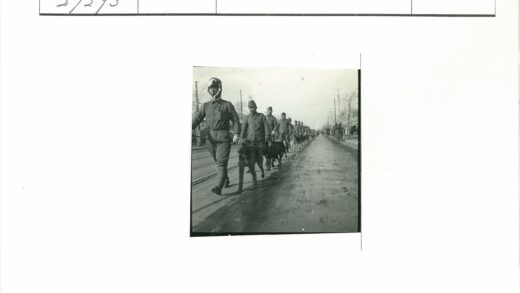 制服人员牵狗巡逻道路.jpg