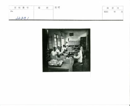 办公室工作场景白衬衫团队.jpg