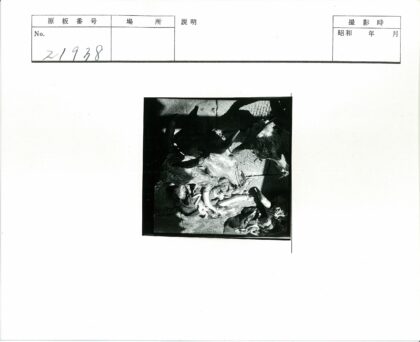 动物头盖骨石板排列展示.jpg
