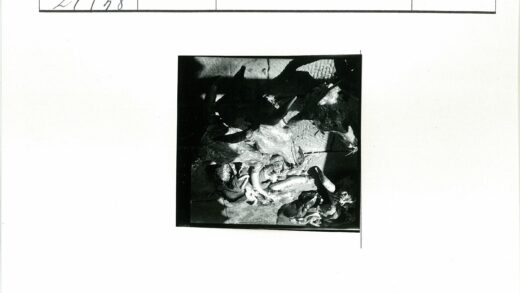 动物头盖骨石板排列展示.jpg