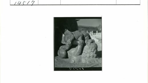 动物石雕特写艺术.jpg