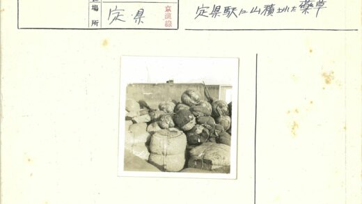 包裹堆放在混凝土墙旁.jpg