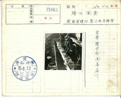 午后阳光下检查玉米的农民.jpg
